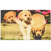 Homescapes FUSSMATTE Hundewelpen, Gummi 45/76 cm