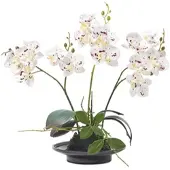 Homescapes KUNSTBLUME Orchidee weiß-pink in Deko-Schale, 38 cm