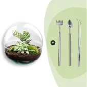 Urbanjngl Diy Terrarium - Kuppel - 20 Cm
