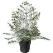 Creativ Green künstliche Pflanze Zimmertanne im Topf, beschneit, 40cm