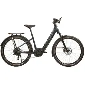 Urban jungle Barrio 3.0 Performance Elektrofahrrad
