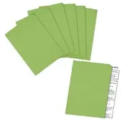 Elco Sichthüllen »Ordo discreta« A4 Papier 100 Stück grün