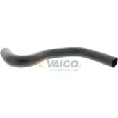 VAICO Kühlerschlauch Q+, Erstausrüsterqualität V42-0640