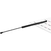 JP GROUP 1581205800 Gasfeder Heckklappendämpfer für FORD Fiesta Mk7 Schrägheck