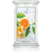 Kringle Candle Citrus Blossom & Honey 623g