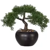 Momax Kunstpflanze Bonsai I Grün