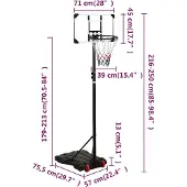 vidaXL Basketballständer Transparent 216-250 cm Polycarbonat