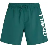 O'Neill Logo 16'' Swimshorts botanical heat (15097) L