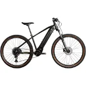Wolfbike E-Mountainbike Atomic R29