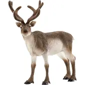 Schleich WILD Life | Rentier 14837 | detailgetreue Tierfiguren | Zoo Spielzeug Jungen und Mädchen | Deko für Geburtstag | Spielfigur ab 3 Jahren | 13 x 6 x 12 cm