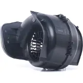 RIDEX 2669I0114 Gebläsemotor Innenraumgebläse für RENAULT KANGOO (KC0/1) KANGOO Express (FC0/1) CLIO I (B/C57, 5/357) MEGANE I (BA0/1) MEGANE Scenic