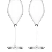 Stölzle LAUSITZ Serie FINO Champagnerkelch Champagnerglas 2 Stück Inhalt 425 ml