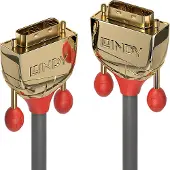 Lindy Dvi — Dvi