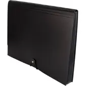 Amazon Basics Fächer-Dokumentenmappe A4 Briefformat - schwarz"