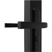 vidaXL Innentür ESG Glas und Aluminium 102,5x201,5 cm Schwarz