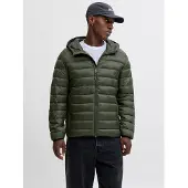 Jack & Jones 12280970_1647_XXL, Puffer, Uni, Erwachsener, Reißverschluss, Nylon, Grün
