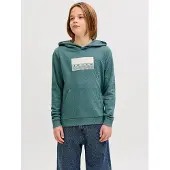 Jack & jones Kapuzensweaters JCOFUSION GRAPHIC SWEAT kind