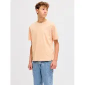 Jack & Jones Logo T-shirt Boys