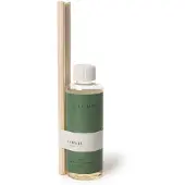 Illume Hinoki Salbei Box Kerze grün