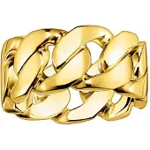 Thomas Sabo Ring Glieder Gold