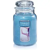 Yankee candle Large Jar Catching Rays 623g