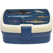 Rex London Lunch-Box mit herausnehmbarem Fach Sharks