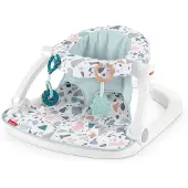 Fisher-Price Sit Me Up Bodenstuhl Pacific Pebble