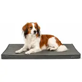 Lionto Hundematte orthopädisch, druckentlastende Memory-Foam Liegefläche, rutschfeste Unterseite & abnehmbarer Bezug, 80x55 cm, grau