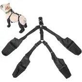 Spactz Chaussures supples pour bouledogue français taille M