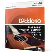 Daddario EFT13