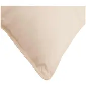 vidaXL Kopfkissen 2 pcs Beige 60 x 60 cm Kapokfaser
