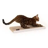 OEM Umkehrbare Krabplank für Katzen aus Karton weiß