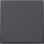 Gira Wippe 349667 gerade TX44 anthr (349667)