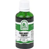 St. Severin Engelwurztropfen 50 ml Tropfen