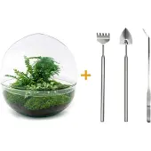 Urbanjngl Diy Terrarium - Kuppel Xl - 30 Cm
