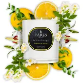 Parks Candles GRAPEFRUIT & JASMIN KERZE 220G