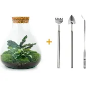 Urbanjngl Diy Terrarium - Sammie - ↕ 27 Cm