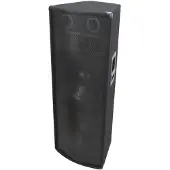 Omnitronic TX-2520 Passiver 38 cm 15 Zoll 700 W St.