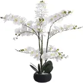 Vente-unique Kunstpflanze Tara Grün Weiß 54 cm