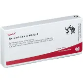 Wala Iscucin salicis Stärke A Ampullen 10x1 ml