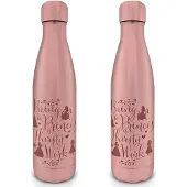 Ginza.se Disney Princess Metal 550ml Flasche