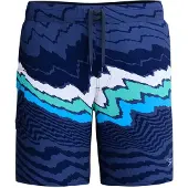 Speedo Men's Shorts STRIPE FLEX BRDSHRT 18",