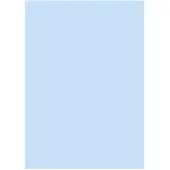 Brunnen Universalpapier A4 160g hellblau VE=25 Blatt