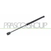 PRASCO SK3209055 Gasfeder Heckklappendämpfer für SKODA FABIA (6Y2) 440mm