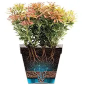 Elho Blumentopf Elho