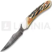 Bear & Son Caper India Stag