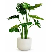 Fleur Ami Kunstpflanze mit Topf Monstera mit Topf Solco 90 cm Weiß