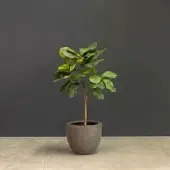Fleur Ami Kunstpflanze mit Topf Ficus Lyrata mit Roccastone Classic 120cm Anthrazit