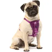 Kurgo TRU-Fit Hundegeschirr Crash-Test-erprobt Auto-Sicherheitsgurt Hunde 2-5 kg Größe S Lila