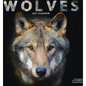 Avonside Publishing Ltd. Wölfe Kalender 2027